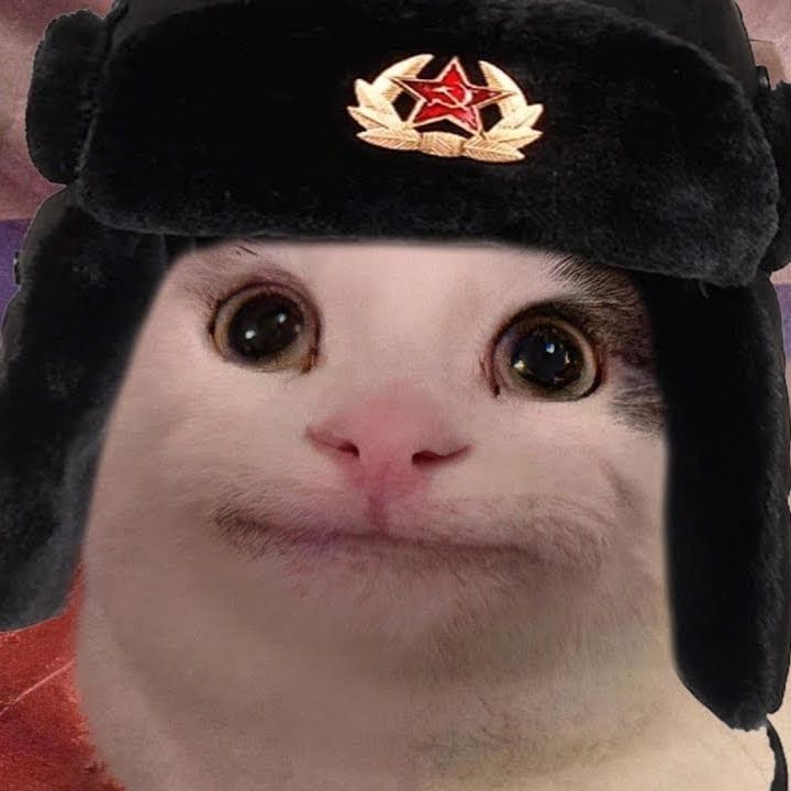 HoIo_Kostik