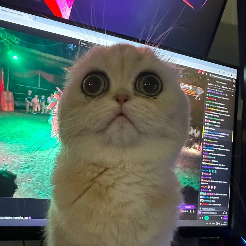 Faceit avatar
