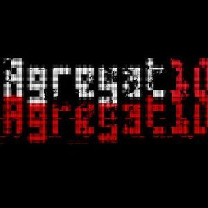 Agregat10