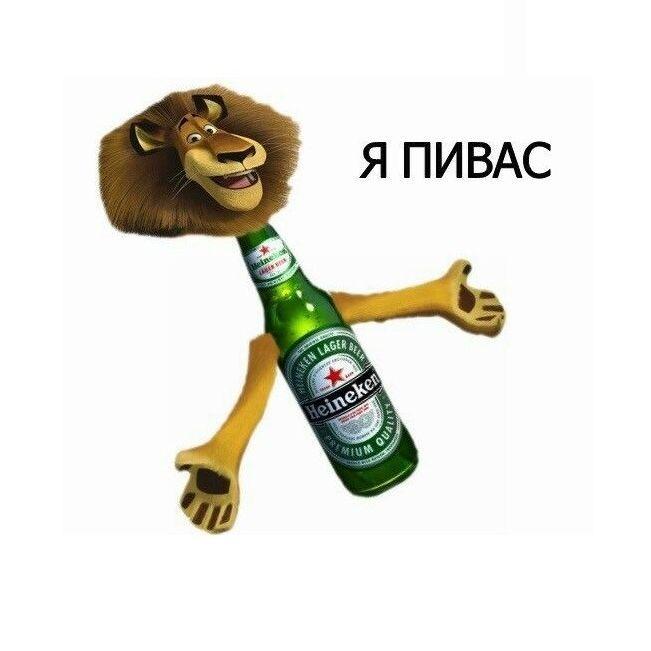 VILDAN_BAKIN avatar