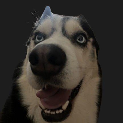 DeLafaYEET