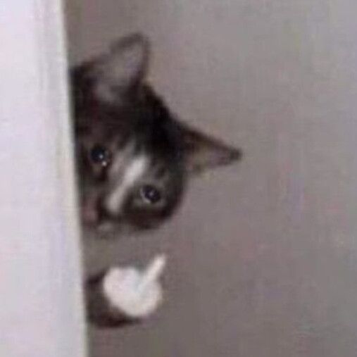 Fifch0