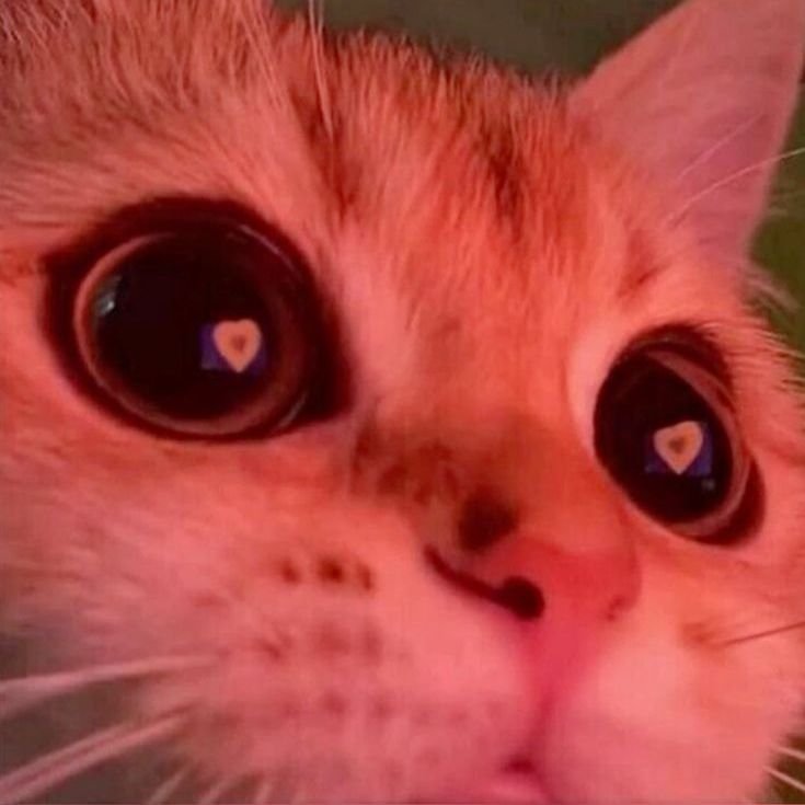 Zhuzhaaaa