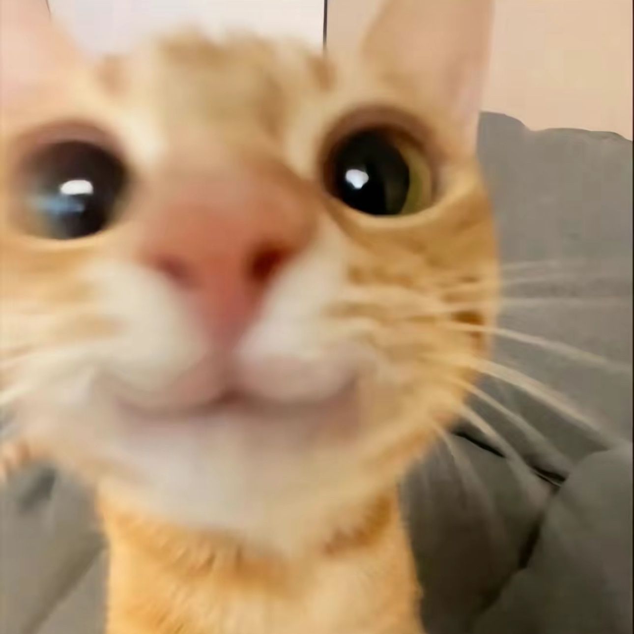 Etmoe2