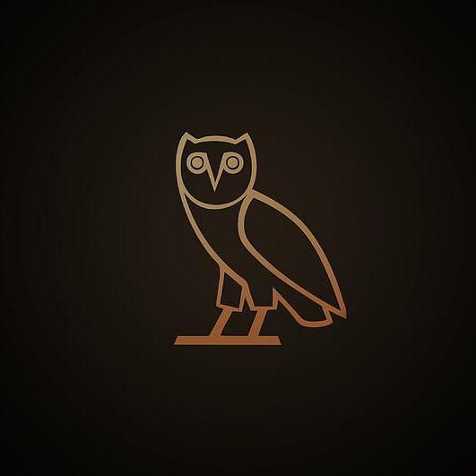 Player NIGHT-OWL- avatar
