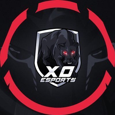 xo esport