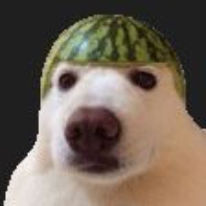 Kr1sx FACEIT avatar
