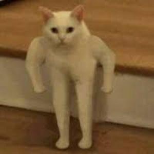 1San4iz avatar