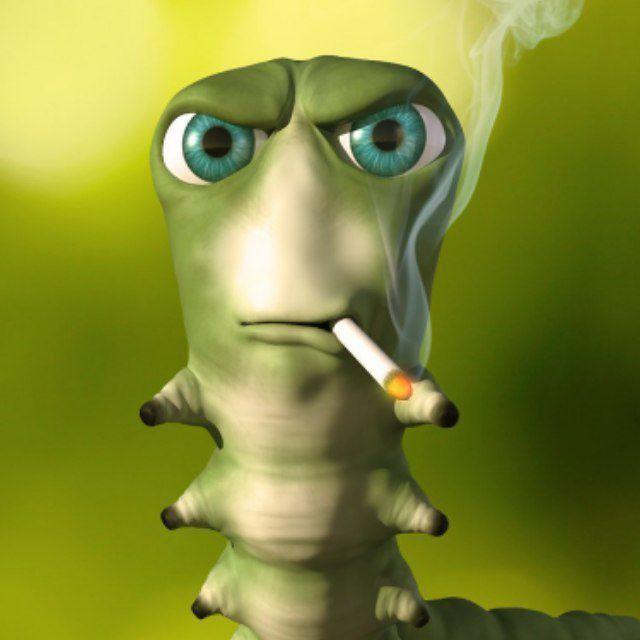 fan_banan avatar