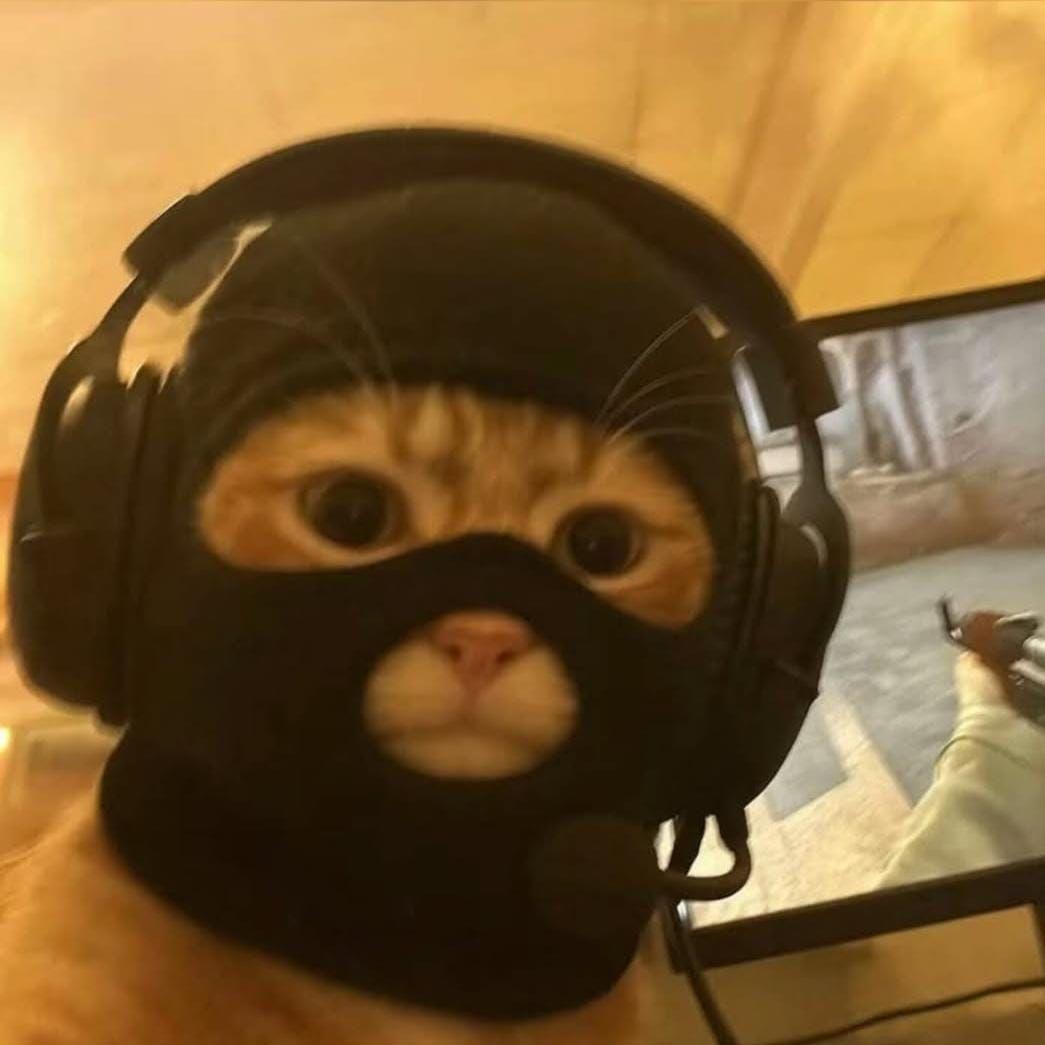 talip35 avatar