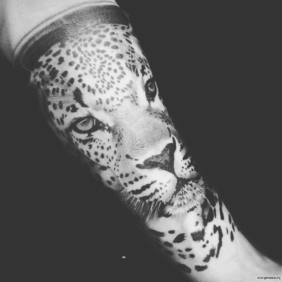 Saanne4KAA avatar