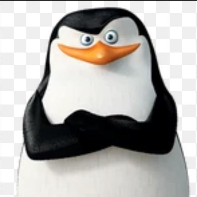 zxcsb avatar