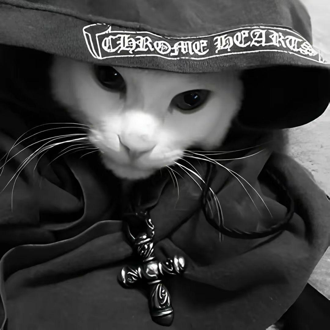 Pizdos22 avatar