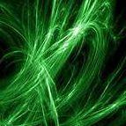 GreenWast