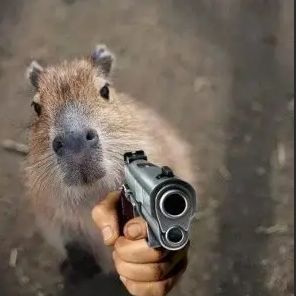 zerppaz avatar
