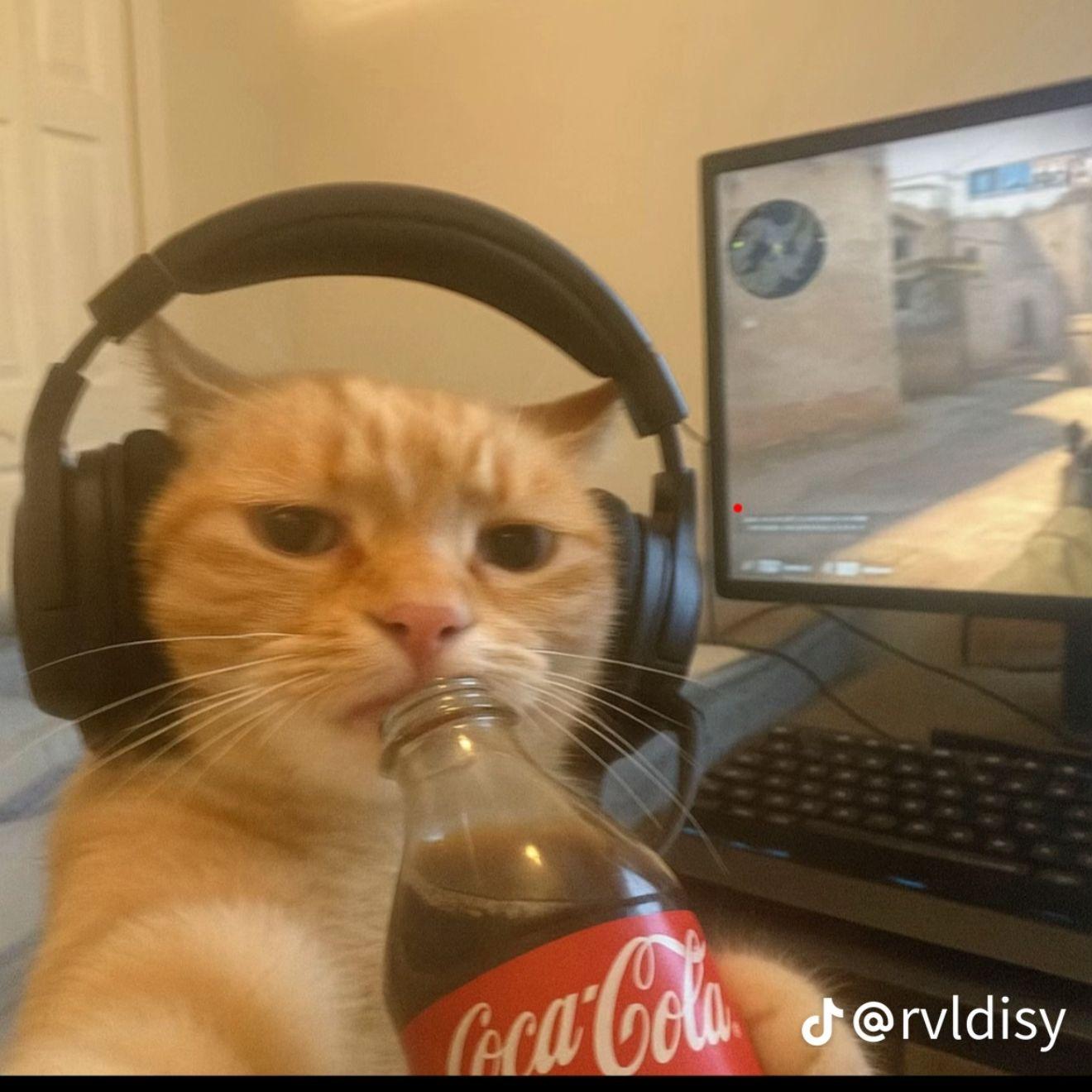 kutasodbijak avatar