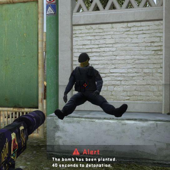 Alex741