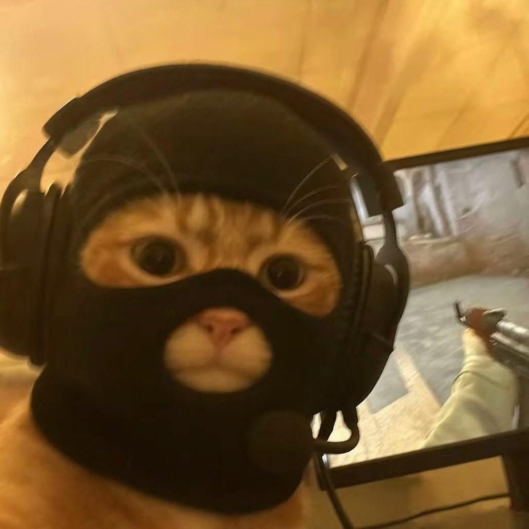 KicsiKacsu avatar