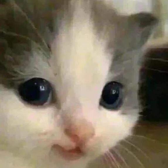 gkvxon avatar