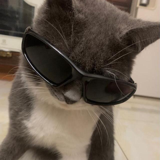 malpa12312 avatar