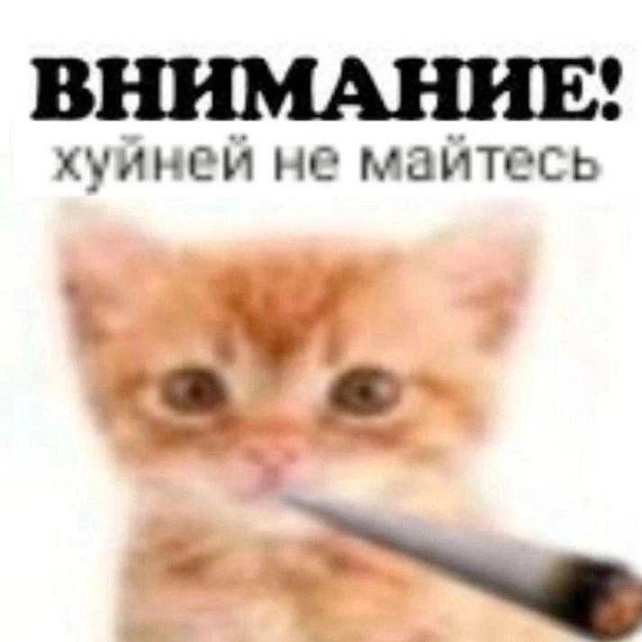 TikTokM4KER avatar