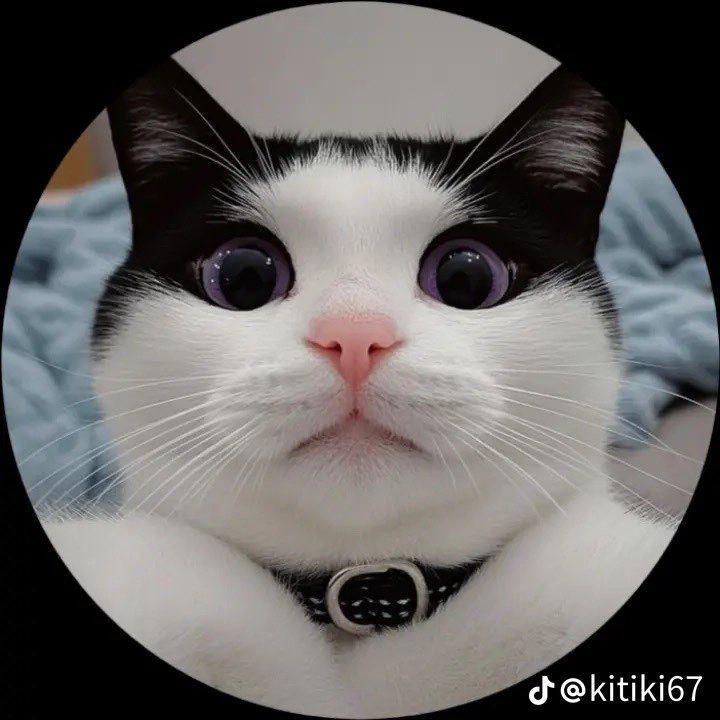 Dzub1