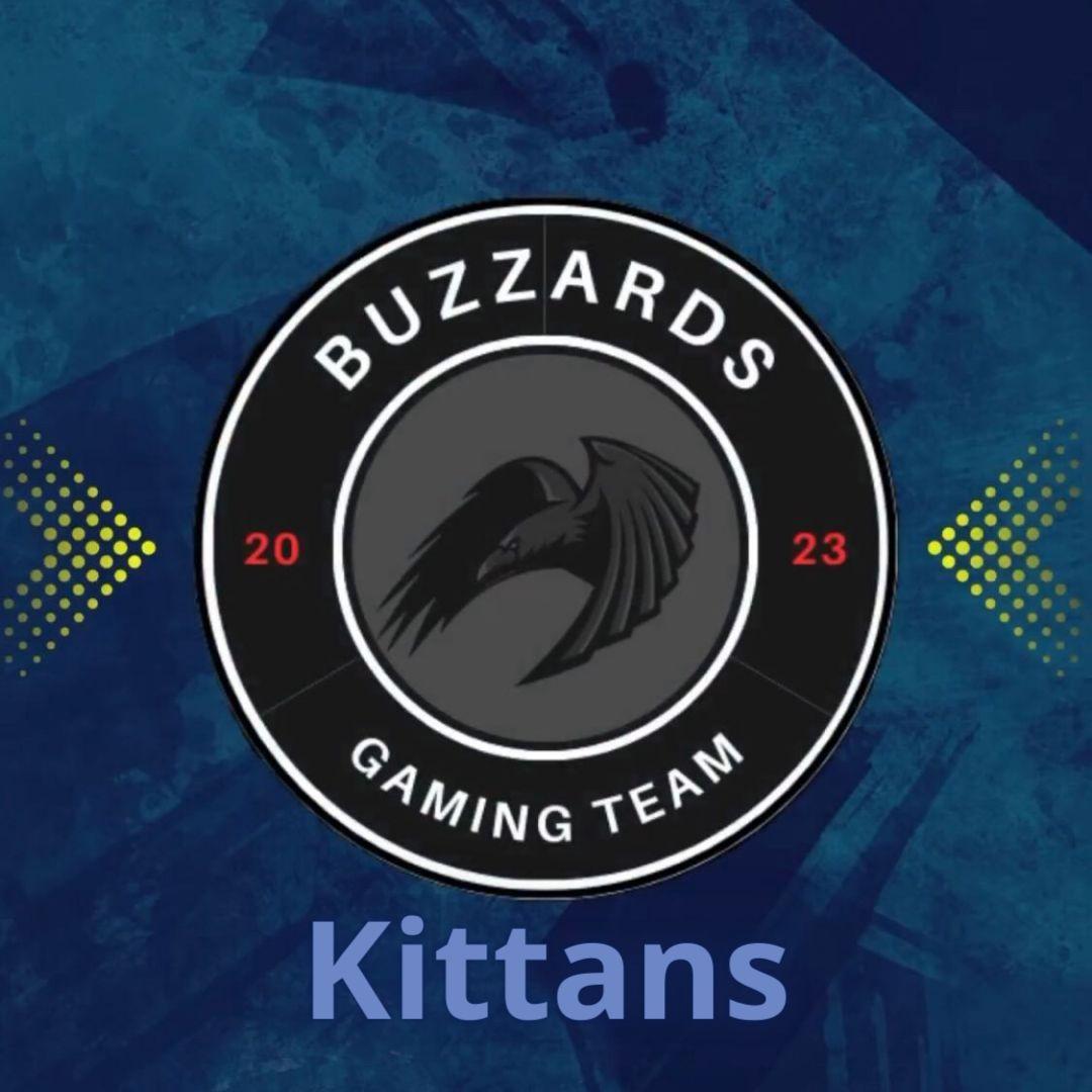Player Kiitans avatar