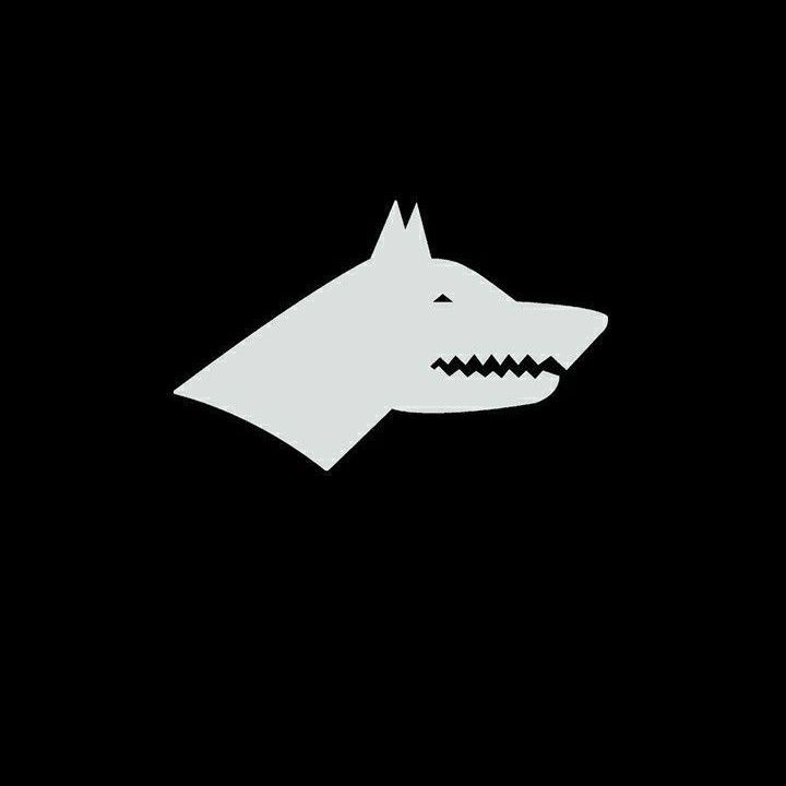 team_Sayex