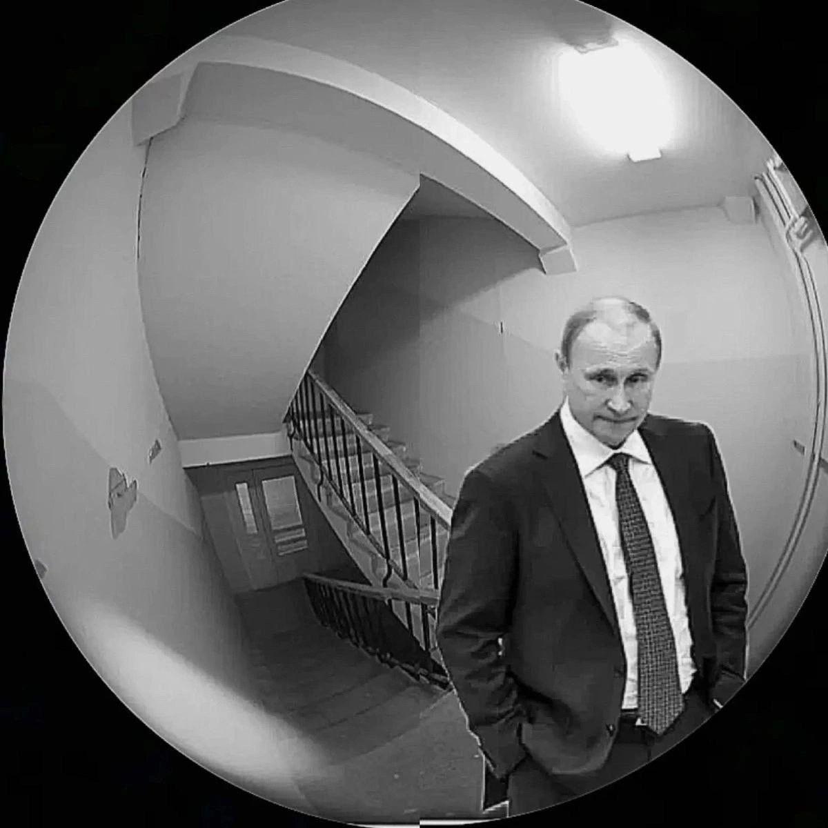Korney74 avatar
