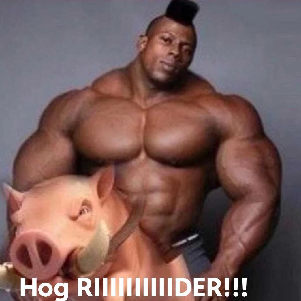 BIG HOGS