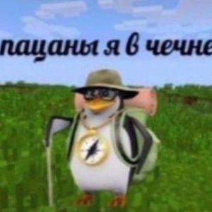 zamggg