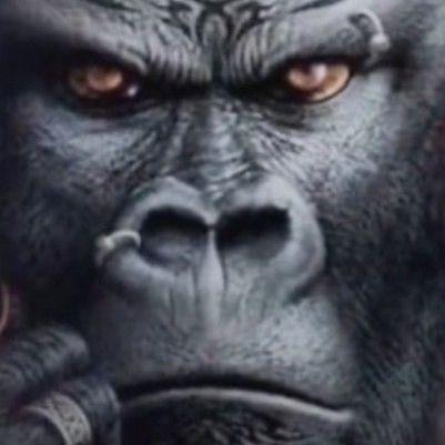 acelw avatar