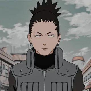 Paluaaan avatar