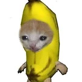 lehtinenn_