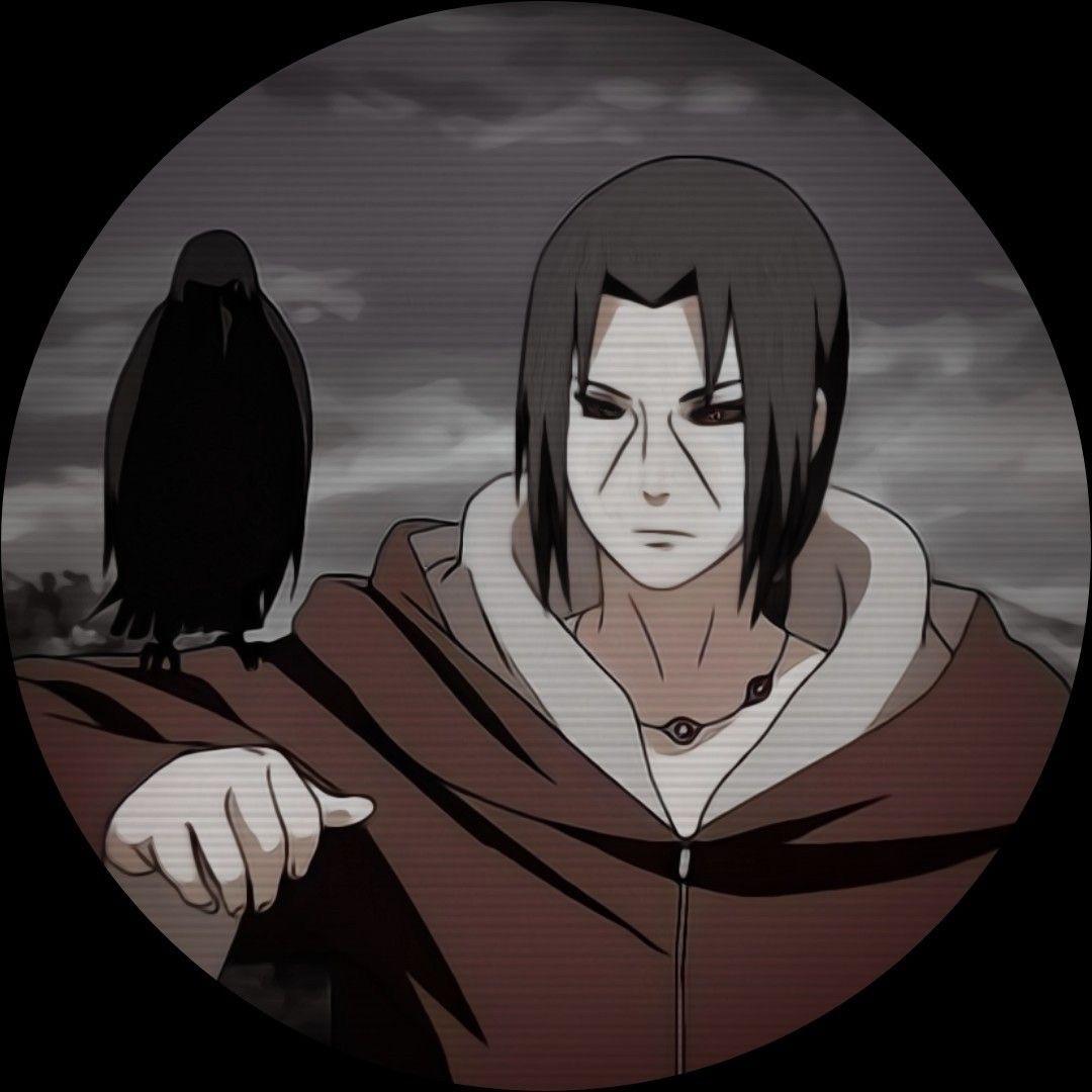 _-sTeaDy-_ avatar