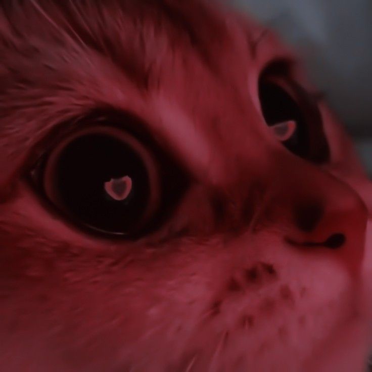 Plyoosha