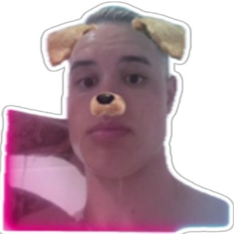 Guardinhaa avatar