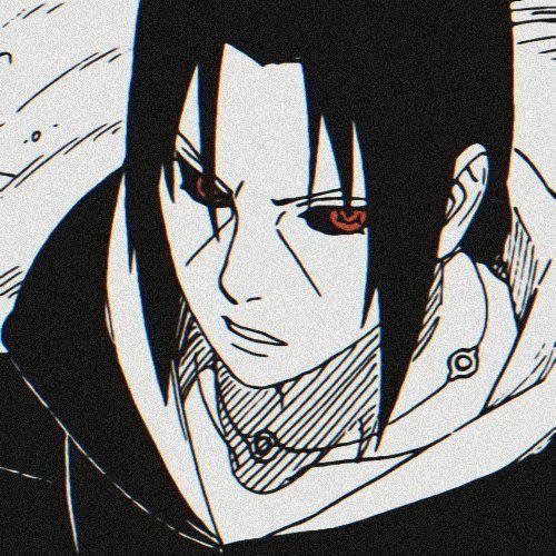 tofhaknow3 avatar