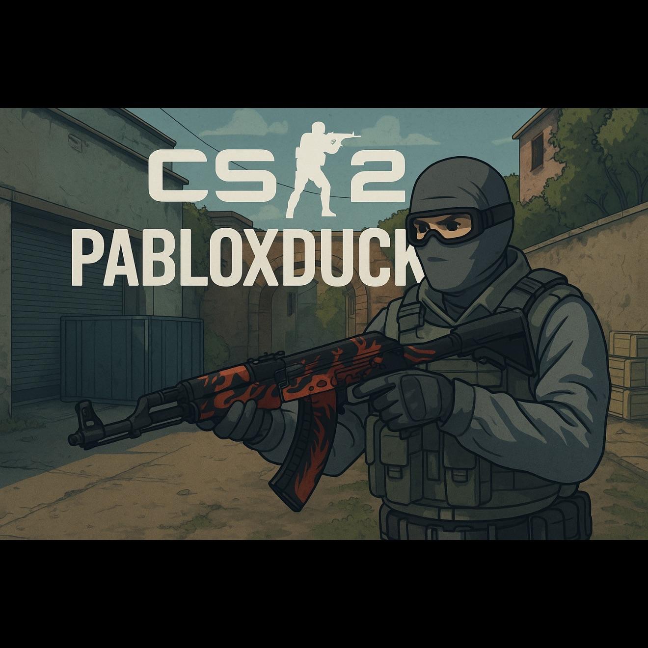 PabloxDuck avatar