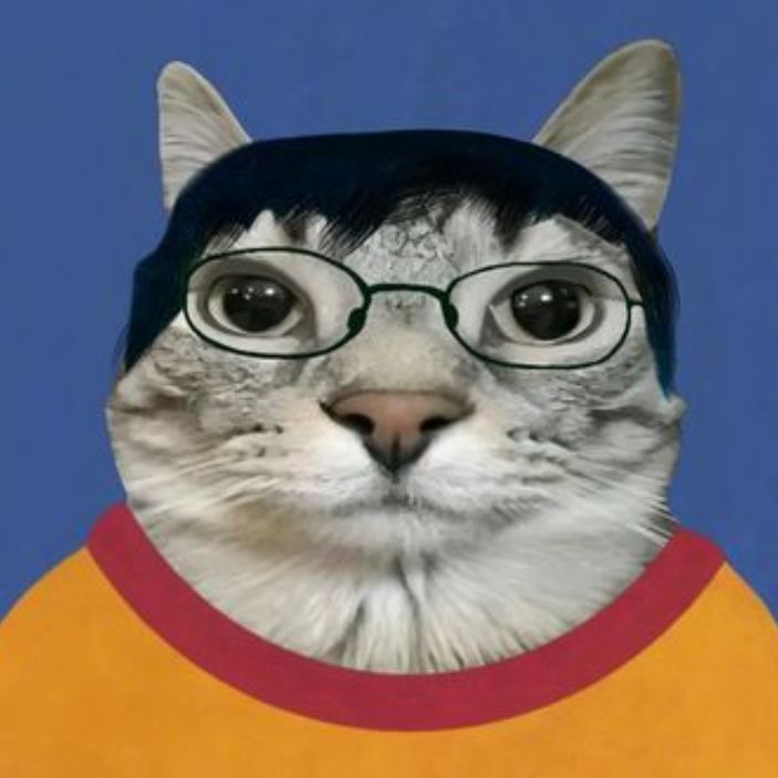 c1wn FACEIT avatar