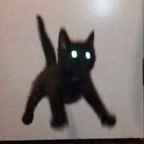 Kaz6666_ avatar