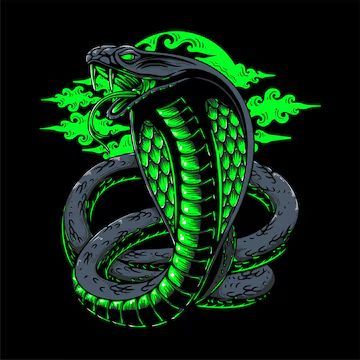 mq3pm avatar