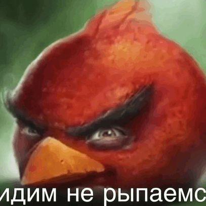 Modemov