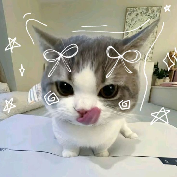 foxxycey