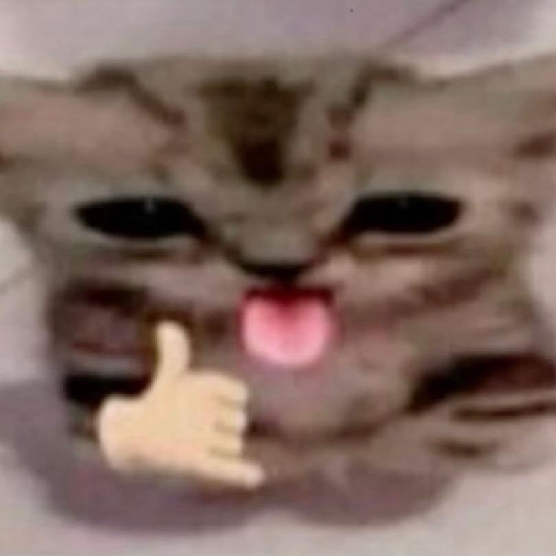 PAPADISA avatar