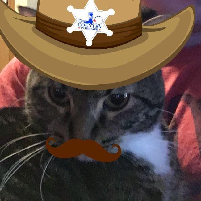 CatCowboy avatar