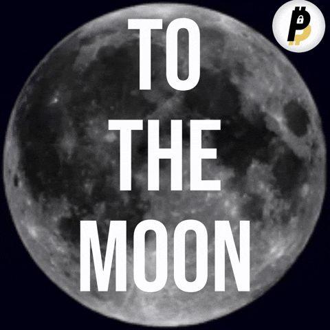THEMOONBACK_