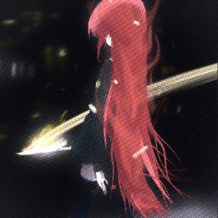 Faceit profile picture for @diagnose