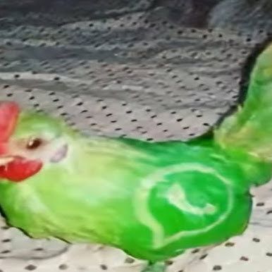 tumicado