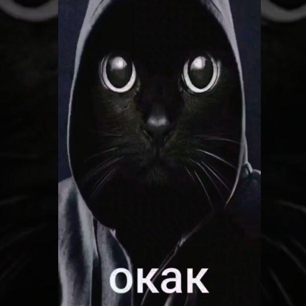Boluk_n1 avatar